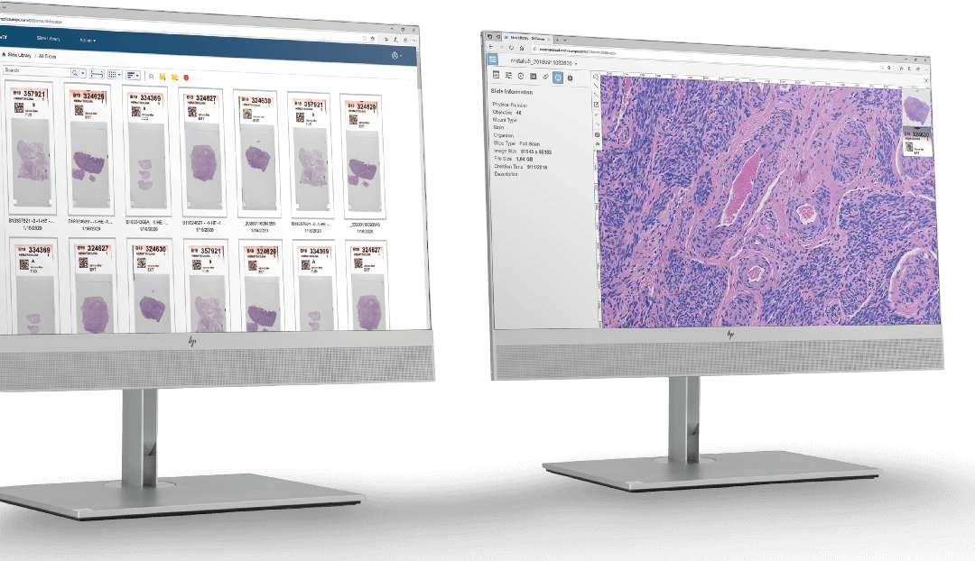 病理切片代工服務