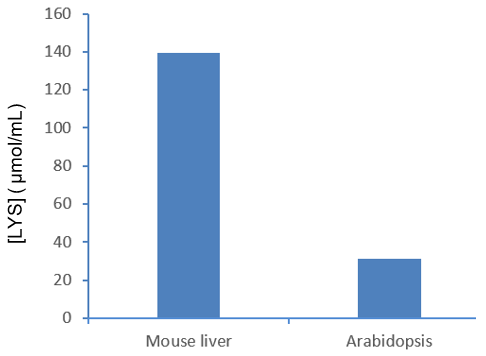 Lysine content in Mouse liver and Arabidopsis respectively. | CheKine™ 離胺酸 (Lysine) 含量檢測試劑盒 (CheKine™ Micro Lysine (LYS) Assay Kit) | Abbkine 貨號 KTB1470