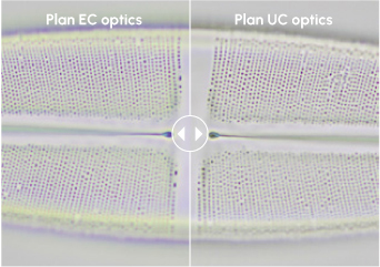 Motic Panthera E2 正立式顯微鏡
