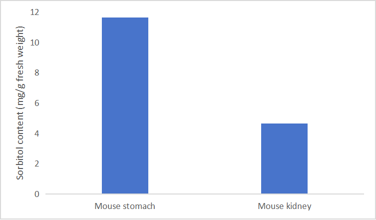 Determination of sorbitol groups in mouse stomach and kidney by CheKine™ Micro Sorbitol Content Assay Kit (Cat. No. KTB3061).