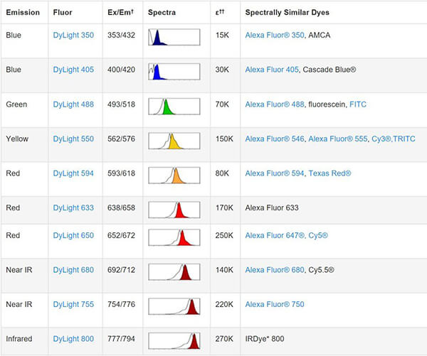 To use the DyLight Fluors with fluorescent imagers, use a spectral line of the blue laser diode for DyLight 405, a cyan (488 nm) laser for DyLight 488, a green (526 nm) laser for DyLight 550 and 594, and a red (633 nm) laser for DyLight 633 and 650. The DyLight 680, 755 and 800 fluors are compatible with laser- and filter-based infrared imaging instruments that emit in the 700 nm, 750 nm and 800 nm region of the spectrum, respectively.