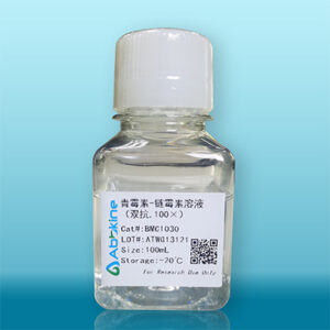 青黴素-鏈黴素溶液(100倍) (Penicillin-Streptomycin Solution) | Abbkine 貨號 BMC1030