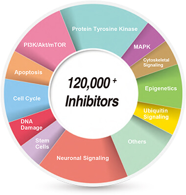 Selleckchem Inhibitors Selleckchem Inhibitors