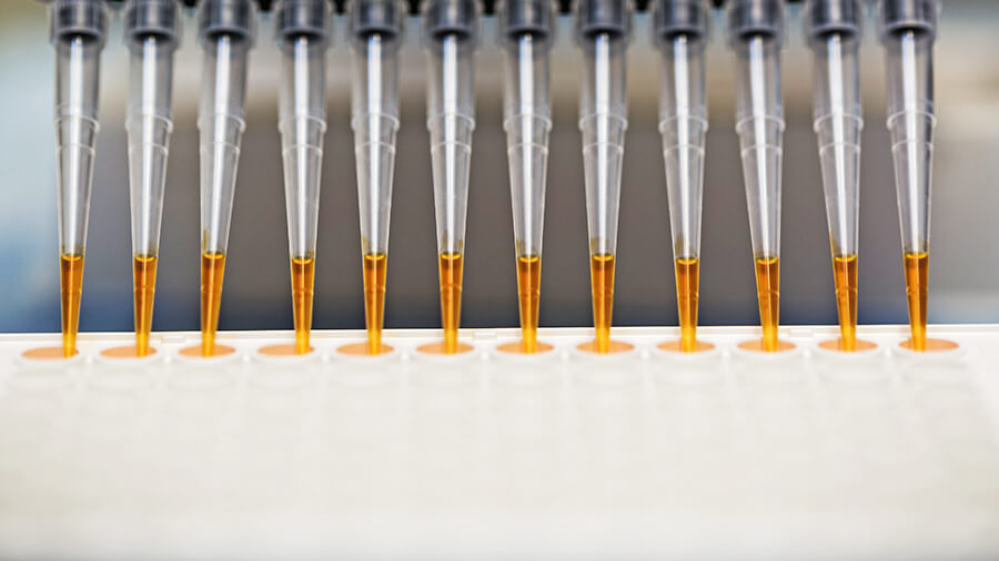 Ferroptosis 鐵死亡研究 Assay Kits 與抗體｜Iron、GPX4、GSH、Lipid Peroxidation 與 System xc−