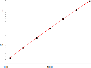 Human HGF Standard Curve (EliKine™ 人類 HGF ELISA 試劑盒 | Abbkine 貨號 KTE6009)
