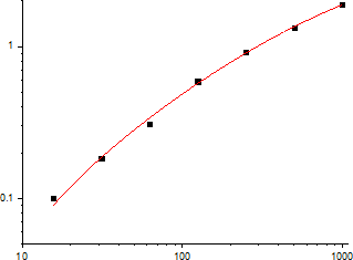 Human TGF-β1 Standard Curve (EliKine™ 人類 TGF-β1 ELISA 試劑盒 | Abbkine 貨號 KTE6030)
