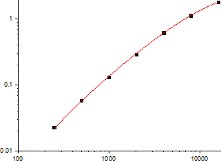 Rat IL-6 Standard Curve (EliKine™ 大鼠 IL-6 ELISA 試劑盒 | Abbkine 貨號 KTE9004)