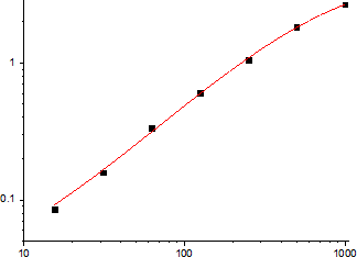 Rat VEGF Standard Curve (EliKine™ 大鼠 VEGF ELISA 試劑盒 | Abbkine 貨號 KTE9008)
