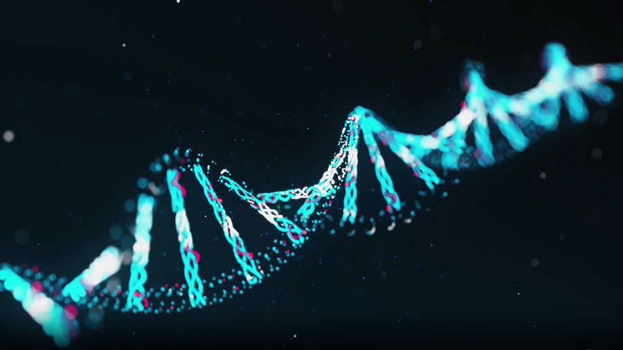 GWAS / QTL-seq 分析完成後下一步怎麼做？PACE® 加速 SNP 驗證與高通量基因分型