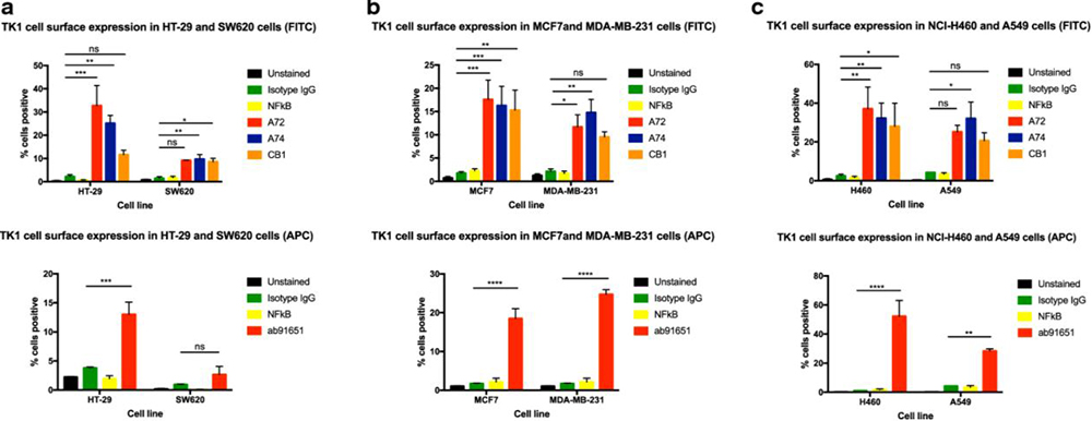Flow Cytometry. Weagel, Evita G., et al used FITC Conjugation Kit - Lightning-Link® (ab102884) as part of examining thymidine kinase 1 in lung, breast, and colorectal malignancies. They used the kit to conjugate FITC to three custom and a commercial anti-human thymidine Kinase 1 (TK1) antibodies for use in flow cytometry. Membrane TK1 expression in of colon, breast, and lung cancer cell lines. Flow cytometry analysis of cell lines treated with anti-TK1 antibodies. a Quantification of TK1 expression on the cell membrane of HT-29 and SW620 cell lines stained with FITC or APC-conjugated anti-TK1 antibodies. b Quantification of TK1 expression on the cell membrane of MCF7 and MDA-MB-231 cell lines. The top bar graph shows MCF7 and MDA-MB-231 cell lines stained with FITC or APC-conjugated anti-TK1 antibodies. c Quantification of TK1 expression on the cell membrane of NCI-H460 and A549 cell lines stained with FITC or APC-conjugated anti-TK1 antibodies. Statistical analysis was performed by comparing the mouse isotype control fluorescent levels to those of A72, A74, CB1, or ab91651. *P ≤ 0.05; **P ≤ 0.005; ***P ≤ 0.001; ns = P > 0.05.