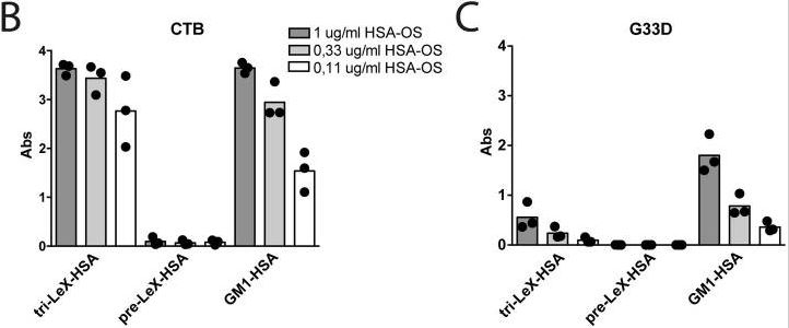 ELISA. Cervin, Jakob, et al used HRP Conjugation Kit - Lightning-Link® (ab102890) as part of examining binding of Cholera Toxin subunit B (CTB) to blood group antigen LewisX (LeX). They used the kit to conjugate HRP to CTB and G33D (mutated version of CTB) for use in ELISA. ELISA with titrated amounts human serum albumin-linked oligosaccharides (HSA-OS), immobilized to wells and detected with (B) CTB-HRP and (C) G33D-HRP. Graph shows absorbance values from three independent experiments.