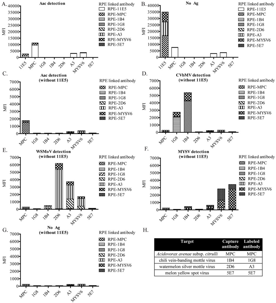 Microsphere immunoassay based on Luminex. Charlermroj R et al. used ab102918 as part of an experiment studying four different plant pathogens : a fruit blotch bacterium Acidovorax avenae subsp. citrulli (Aac), chilli vein-banding mottle virus (CVbMV, potyvirus), watermelon silver mottle virus (WSMoV, tospovirus serogroup IV) and melon yellow spot virus (MYSV, tospovirus). (A-G) X-axis is antibody-coated microsphere and y-axis is median fluorescent intensity (MFI) from each RPE-labeled antibody. (H) Summary of selected antibody pair sets for the detection of the four plant pathogens.