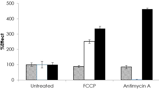Functional Studies (Act) - Luminescent ATP Detection Assay Kit (AB113849) Simultaneous quantification of mitochondrial respiration and glycolytic flux. Cellular Energy Flux for HepG2 cells (seeded at 65,000 per well), treated with a combination of drug compounds modulating the ETC (Antimycin A [1 μM] and FCCP [2.5 μM]), shown as a percentage relative to untreated control cells. Comparative measurements were taken with Extracellular Oxygen Consumption Assay (ab197243) (white column) and Glycolysis Assay [Extracellular acidification] (ab197244) (black column) show the shift between mitochondrial respiration and glycolysis and the cellular control of energy (ATP; measured 1h post-treatment using Luminescent ATP Detection Assay kit (ab113849) (striped column)).