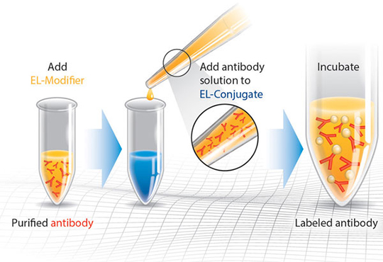 ab188215 Gold Conjugation Kit (20 nm, 20 OD)