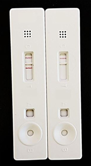 Lateral flow assay. Gwyn, Sarah, et al used Gold Conjugation Kit (20 nm, 20 OD) (ab188215) as part of examining the detection of antibodies against immunodominant antigen Pgp3 from Chlamydia trachomatis. They used the kit to conjugate Gold to Pgp3 protein for use in lateral flow assay. Shown are results of the LFA run with positive (left) and negative (right) control sera.