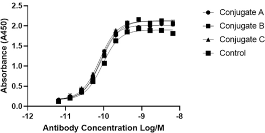 ELISA. Direct ELISA dose response curve generated with varying concentration of biotin conjugated antibodies. Anti-MMP1 antibody [EPR19769-152] - BSA and Azide free (Detector) (ab242835), Anti-EGF antibody [EPR19899-46] - BSA and Azide free (Detector) (ab242990),Anti-IL-5 antibody [EPR20012-256] - BSA and Azide free (Capture) (ab242955) and Anti-MMP9 antibody [EPR18543-47] - BSA and Azide free (Capture) (ab242950) were conjugated to biotin using Biotinylation Kit / Biotin Conjugation Kit (Fast, Type A) - Lightning-Link® (ab201795) to produce Conjugate A, B, C and Control respectively. Briefly, each well was coated with Recombinant Protein G. After blocking with 5% BSA blocking buffer for 2 hours, plates were coated with 1ug/ml of biotin conjugated antibodies. Detection was performed using a HRP-conjugated Streptavidin (ab7403), and visualised using a TMB substrate. Plates were read at 450nm using an Agilent BioTek Synergy HTX multimode reader.