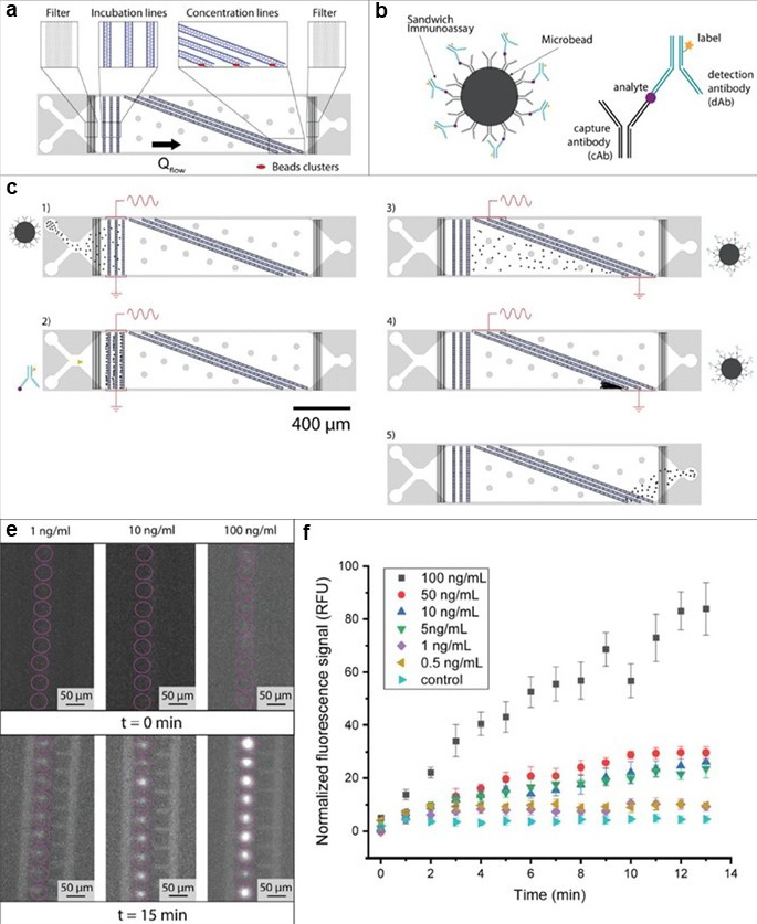 Immunoelectrophoresis. Thiriet, Pierre-Emmanuel, et al used Alexa Fluor® 647 Conjugation Kit (Fast) - Lightning-Link® (ab269823) as part of rapid and accurate diagnosis of Acute kidney injury (AKI). They used the kit to conjugate Alexa Fluor® 647 to monoclonal anti-Lipocalin-2/NGAL antibody for use in the development of a microfluidic analytical device . (a-c) Chip description and operation. (a) Presentation of the chip layout. Beads and reagents can be successively injected through the two inlets visible on the left. The device consists of three incubation lines upstream and three concentration lines downstream, at the end of which the beads are accumulated in clusters (shown here in red). (b) Illustration of a sandwich immunoassay used for detection of biomarkers. The analyte we aimed to detect was captured by the bead decorated with capture antibody (cAb) and detection was performed thanks to the fluorescently labeled detection antibody (dAb). (c) Presentation of the successive steps performed on-chip to operate the platform, namely, (1) beads' loading, (2) incubation with detection antibodies and (3) release from the incubation line, (4) clustering in the concentration region, and (5) discarding through the outlet. For the sake of clarity, the species bound to the beads and the electrically activated arrays of electrodes are indicated for each step. (d-f) On-chip incubation of Neutrophil Gelatinase-Associated Lipocalin (NGAL) biomarker. (d) Observation of the small beads' clusters (circled in pink) before and after 15 min of incubation. The fluorescence signal arose from the binding of dAb-NGAL complex to cAb-decorated beads dielectrically trapped in the regions upstream to the electrode line. Three NGAL concentrations were injected in separate experiments, namely, 1 ng/mL, 10 ng/mL, and 100 ng/mL. (f) Fluorescence signal as a function of the incubation time for different NGAL concentrations. After 15 min all concentrations provided a signal greater than the control experiment, consisting of an injection of a solution in absence of NGAL molecules. The error bars were obtained by measuring the fluorescent signal from 10 clusters.